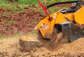 Best Tree Health Inspection  in Rowlett, TX